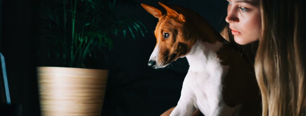 How to Extend Display on Mac