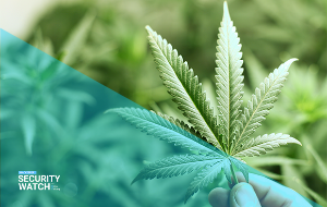 Over 10m Marijuana Site Chat Messages Leaked Online Over 10m Marijuana Site Chat Messages Leaked Online