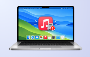 Disk Full Apple Music