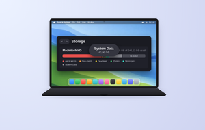 Come Cancellare i Dati di Sistema su Mac