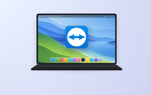 Is TeamViewer Safe