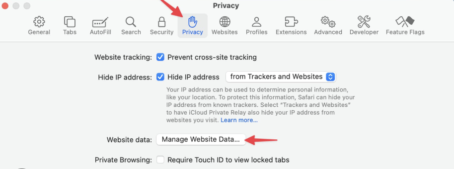 To try to speed up Safari after the new update, you can first try clearing all your website history. Open Safari Settings, then Privacy. Click on Manage Website Data and press Clear All History.
