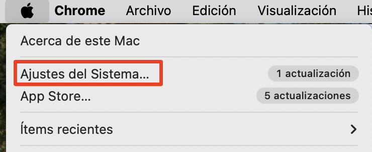 Para abrir la aplicación, utiliza la opción «Abrir de todos modos». Ve a «Ajustes del sistema».