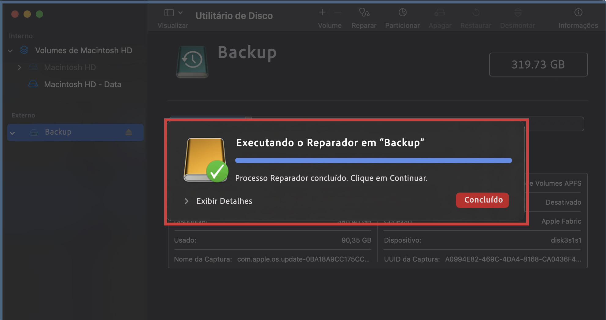 Aguarde o término da verificação do Utilitário de Disco. Se encontrar algum problema que possa corrigir, o Reparador fará a reparação. Você também pode obter mais informações sobre o processo expandindo a seção Exibir Detalhes.