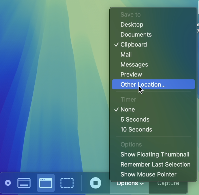 Click Options at the bottom of the on-screen control panel, then choose the Other Location option from the drop-down menu with alternative screenshot locations.