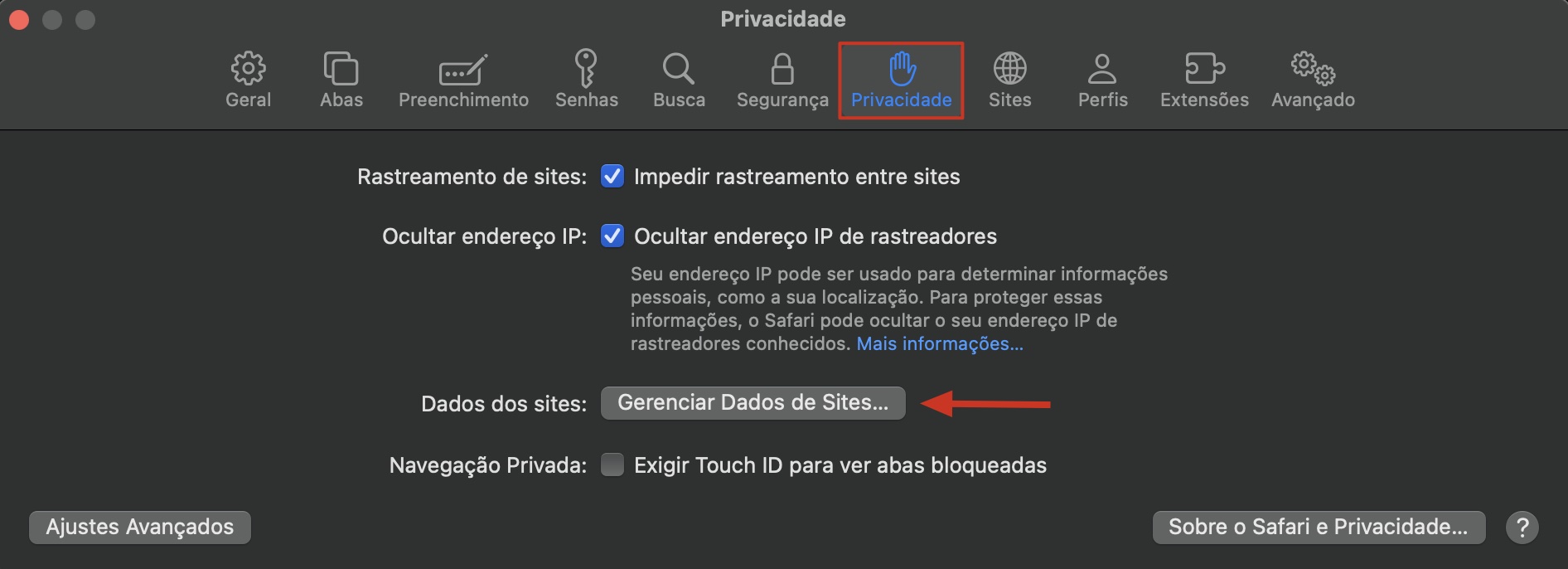 As configurações do Safari no Mac exibem a seção Privacidade. Clique em Gerenciar Dados de Sites para limpar todos os arquivos de cache do navegador.