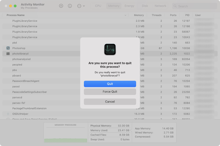 To close the photolibraryd process, click Quit or Force Quit in the new window.