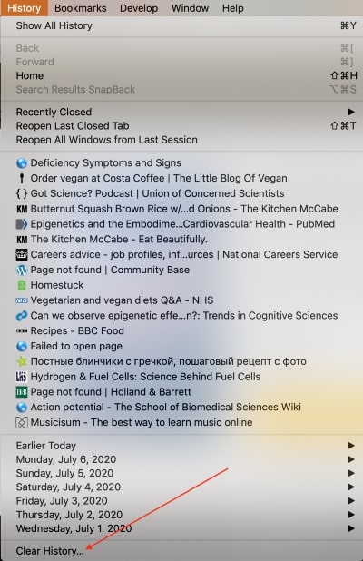 clear history in safari option