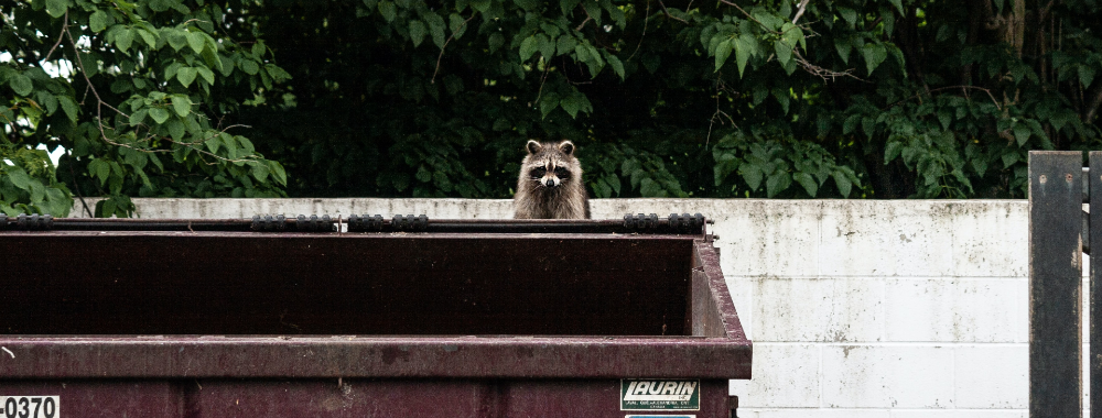 Los 5 mejores métodos para vaciar la papelera de un Mac