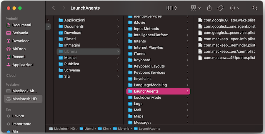 Per continuare, nella cartella Libreria, trova e apri la cartella LaunchAgents. Qui troverai gli elementi di avvio: scegli quelli che non ti servono ed eliminali.