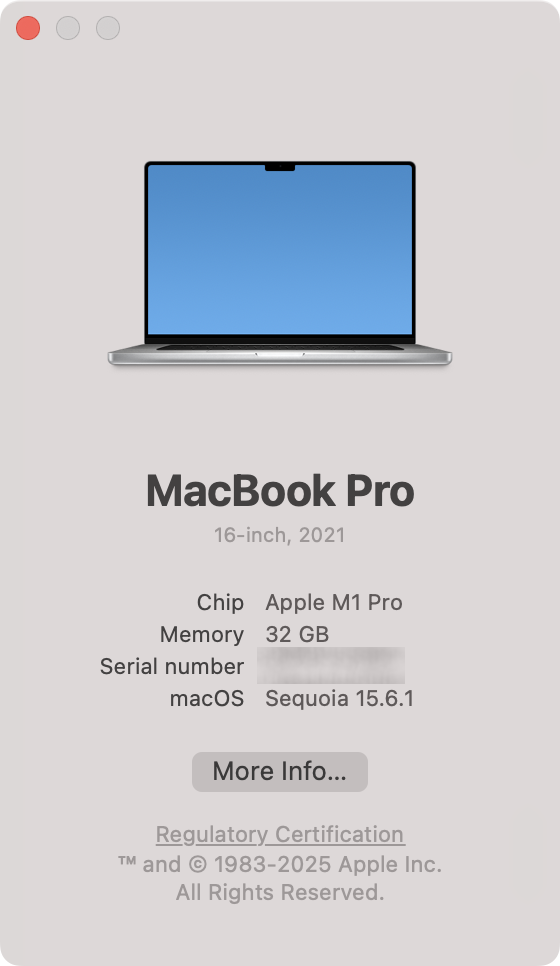To see whether your AirPods are compatible with your MacBook, check the macOS version in the About This Mac panel.