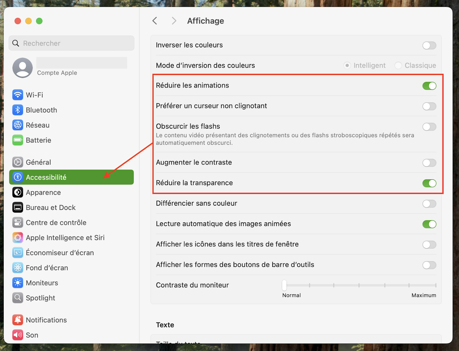 Dans Accessibilité, vous trouverez les options d'affichage sur macOS Monterey. Activez Réduire les animations et Réduire la transparence.