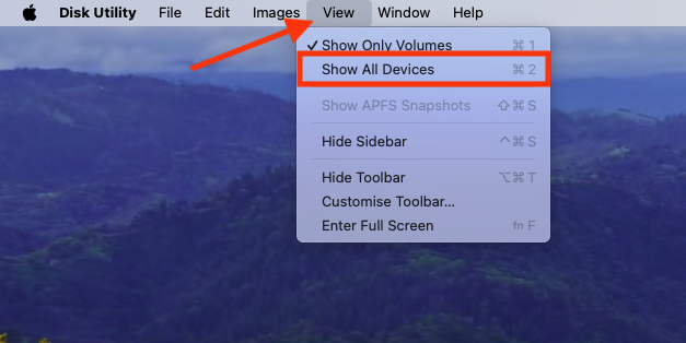 The Show All Devices option in the Disk Utility menu on Mac. If you can't see USB devices in Disk Utility, enable this option and then mount your external drive