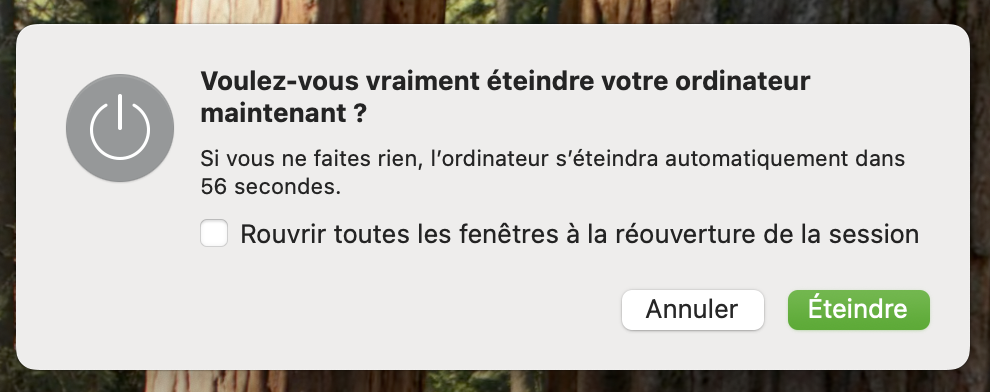 La fenêtre de dialogue « Voulez-vous vraiment éteindre votre ordinateur maintenant ? » s'affiche à l'écran. Vous pouvez confirmer l'action d'éteindre l'ordinateur. Cliquez sur Éteindre pour continuer.