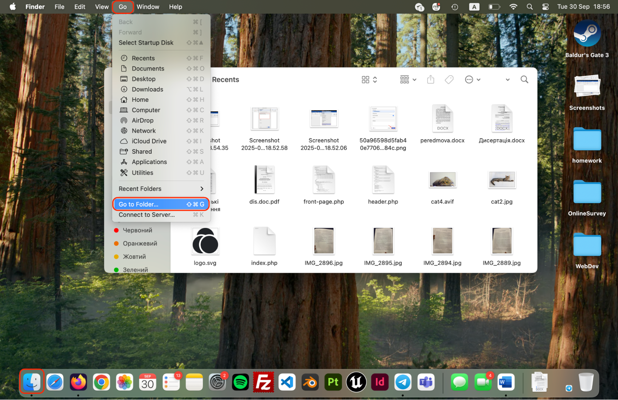 In Finder, click the Go menu at the top of the screen and select Go to Folder to quickly access specific system or application directories.