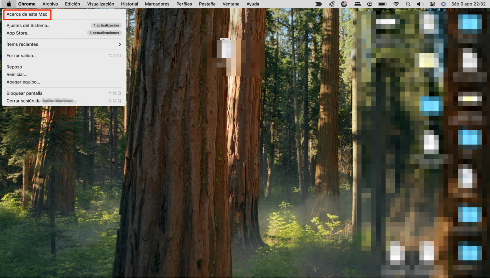 Actualizar el sistema operativo a la última versión es una de las soluciones al problema 