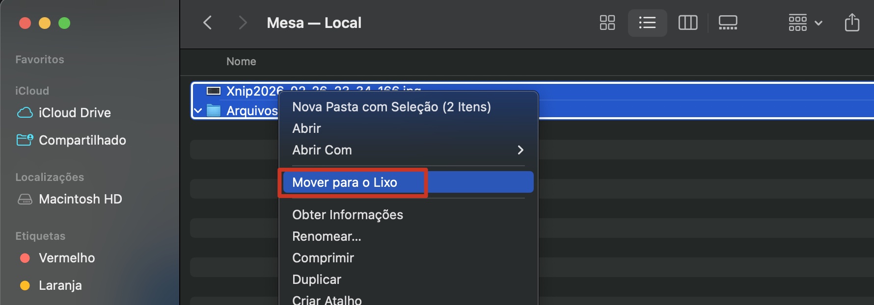 Como etapa final do seu processo de organização, depois que todos os arquivos desnecessários forem selecionados na sua área de trabalho, clique com o botão direito e selecione a opção Mover para o Lixo