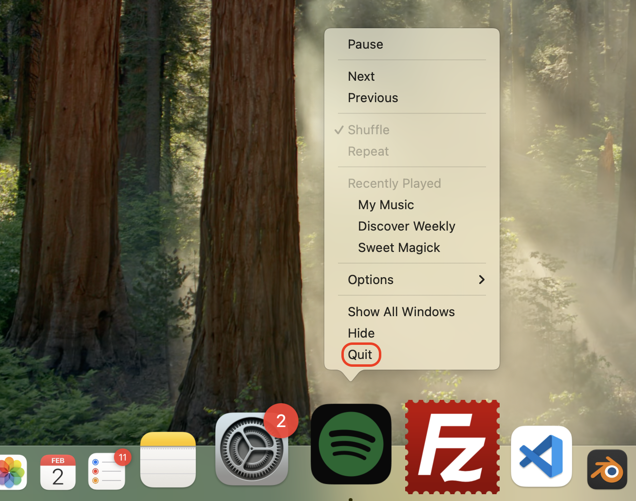 Identify the apps currently in use, go to the Dock, right-click an active app icon, and select Quit to terminate the software.