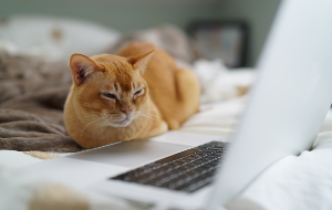 How to Back Up Your Mac — 4 Easy Ways to Try How to Back Up Your Mac — 4 Easy Ways to Try