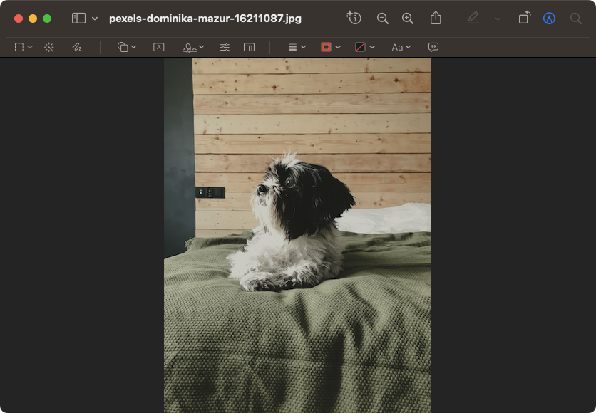 With the built-in photo tool for macOS, you can do things like writing on your photos, adding annotations or highlighting boxes.