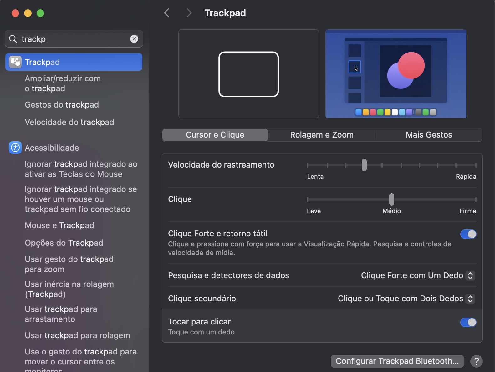 Para usar gestos multi-touch, tudo o que você precisa fazer é ir aos Ajustes do Sistema e clicar em Trackpad. Neste painel, você poderá personalizar suas preferências e explorar mais gestos.