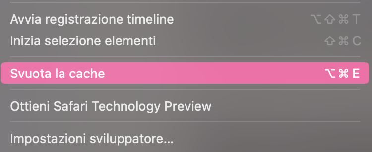 Quando la scheda Sviluppo diventa visibile, puoi selezionare Svuota cache nella barra degli strumenti in alto. Le cache DNS verranno quindi eliminate dal browser.