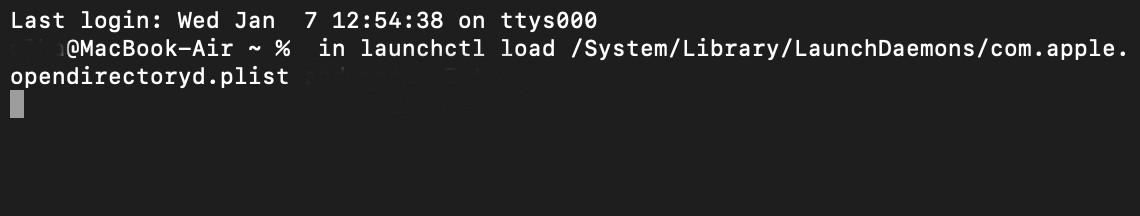 A command screen appears in Single-User mode. Enter the command shown on the image and press Return to reset admin password on a Mac.