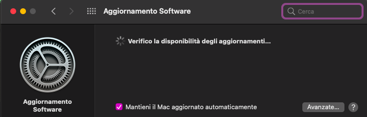 Fare clic sull'opzione Aggiornamento software e consentire al dispositivo di eseguire una scansione per individuare eventuali aggiornamenti in sospeso. È inoltre possibile attivare o disattivare l'Aggiornamento automatico per consentire al dispositivo di tenere automaticamente sotto controllo gli aggiornamenti.