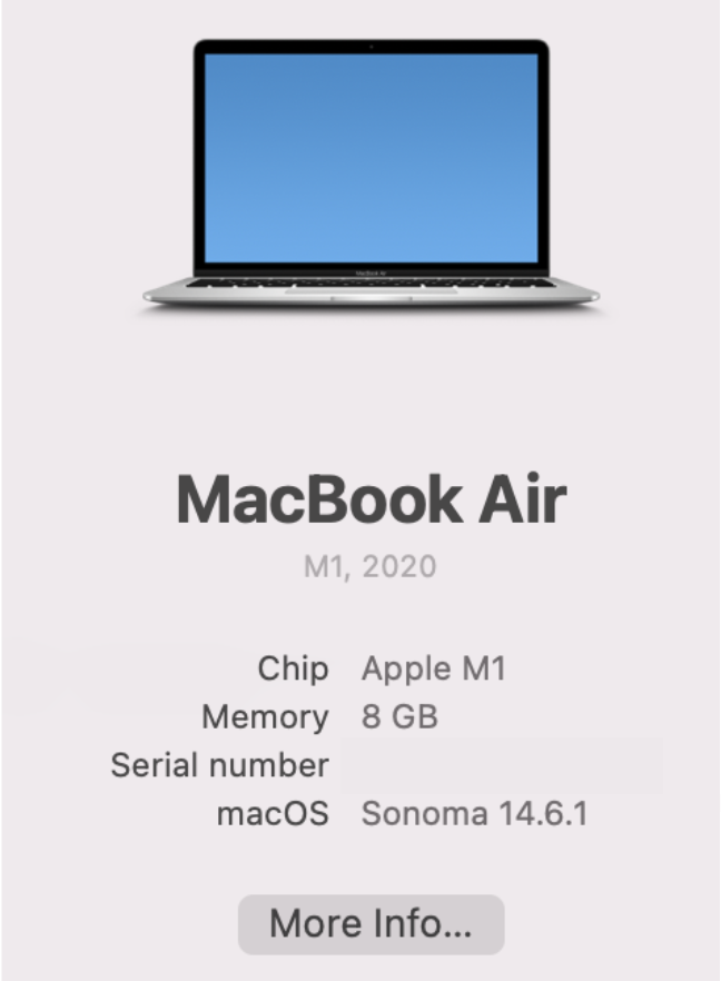To free up space on the external hard drive, you first want to click on the Apple Icon and press More Info. This will take you to your System Settings.