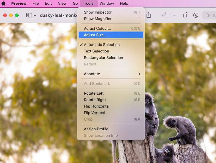 Preview app > Tools Preview app > Tools