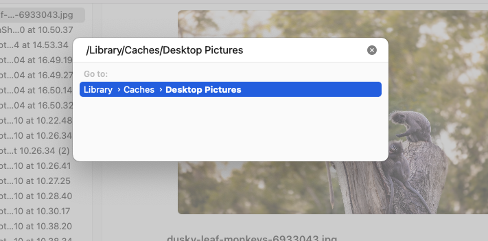 Go > Go to Folder Go > Go to Folder