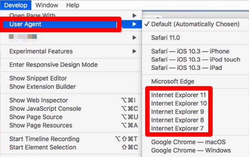 develop menu internet explorer option