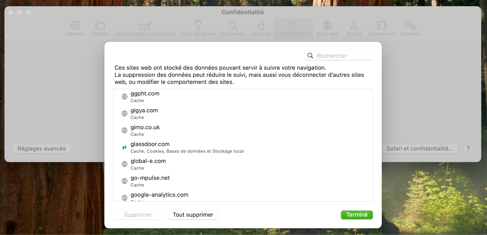 Pour compléter le procédé à 4 étapes pour vider le cache de Safari sur Mac, cliquez sur Gérer les données de sites Web pour consulter et supprimer toutes les données caches.