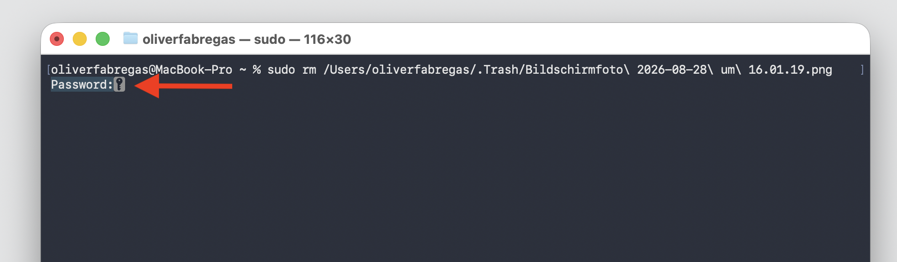Geben Sie das Mac-Passwort im Terminal ein, sobald Sie dazu aufgefordert werden, und drücken Sie anschließend die Eingabetaste, um den Befehl auszuführen.