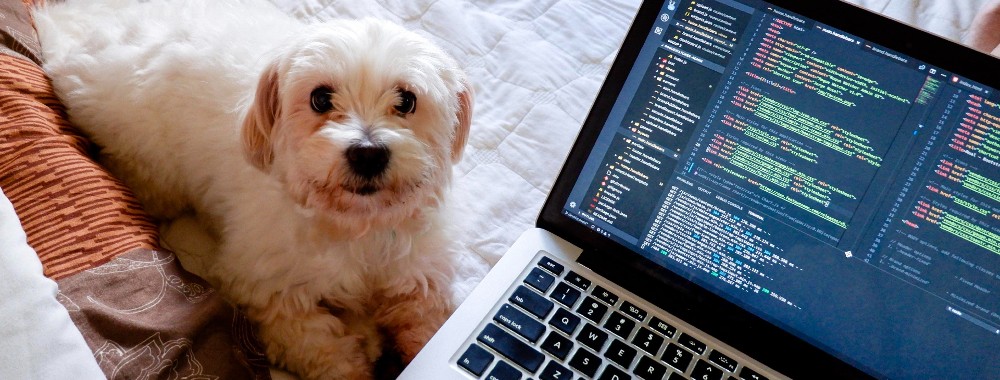 How to Uninstall Node.js on Mac?