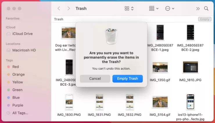 How to Empty Trash on Mac  