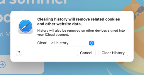 clear safari history confirmation window