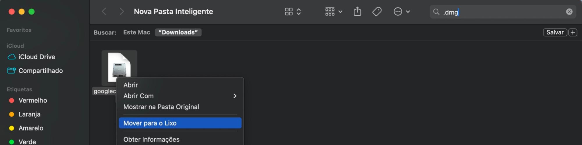 Para excluir arquivos de download indesejados que ocupam espaço valioso no seu Mac, abra o Finder e clique na aba Downloads. Role a lista e procure por qualquer arquivo de download que você queira mover para o Lixo para ajudar a liberar espaço vital no armazenamento Outros.