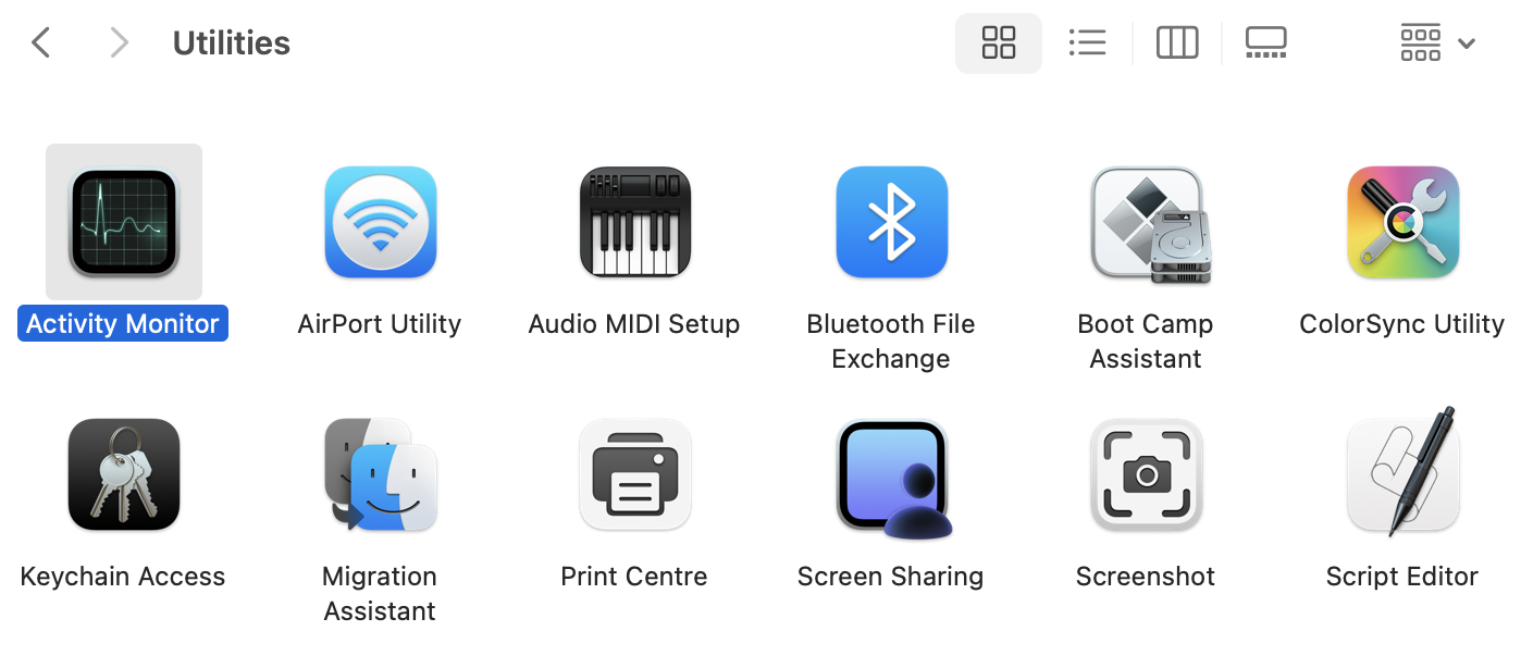In the Utilities folder, double-click Activity Monitor to launch it and view all active processes on your Mac that hat are consuming too much system resources.