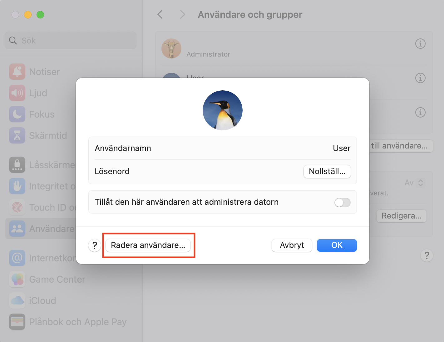 För att ta bort en oönskad profil på macOS, klicka på knappen Radera användare i det nya fönstret.