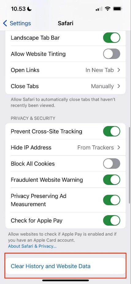how to clear website and history data on iphone