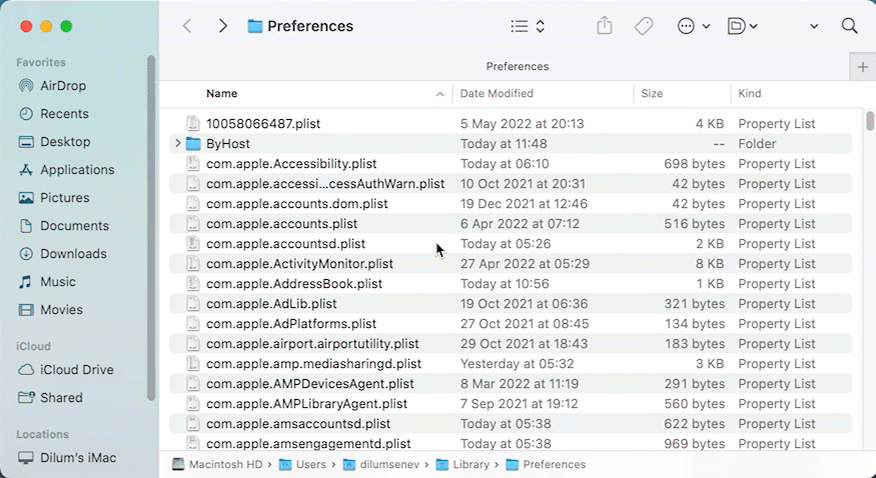 Search in Preferences folder