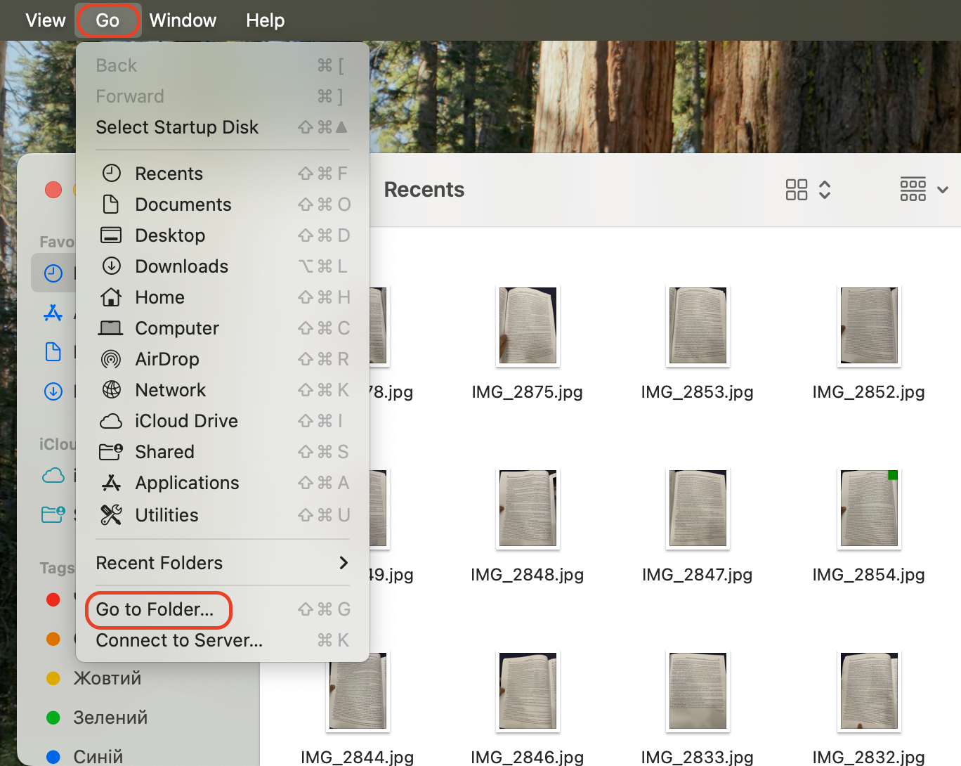Open a new Finder window, click on the Go menu, and select Go to Folder from the dropdown list to enter the file path manually.
