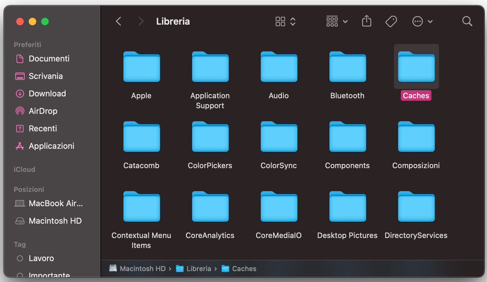 Fai clic sull’unità di archiviazione del tuo dispositivo, poi segui il percorso Libreria > Cartella Caches.