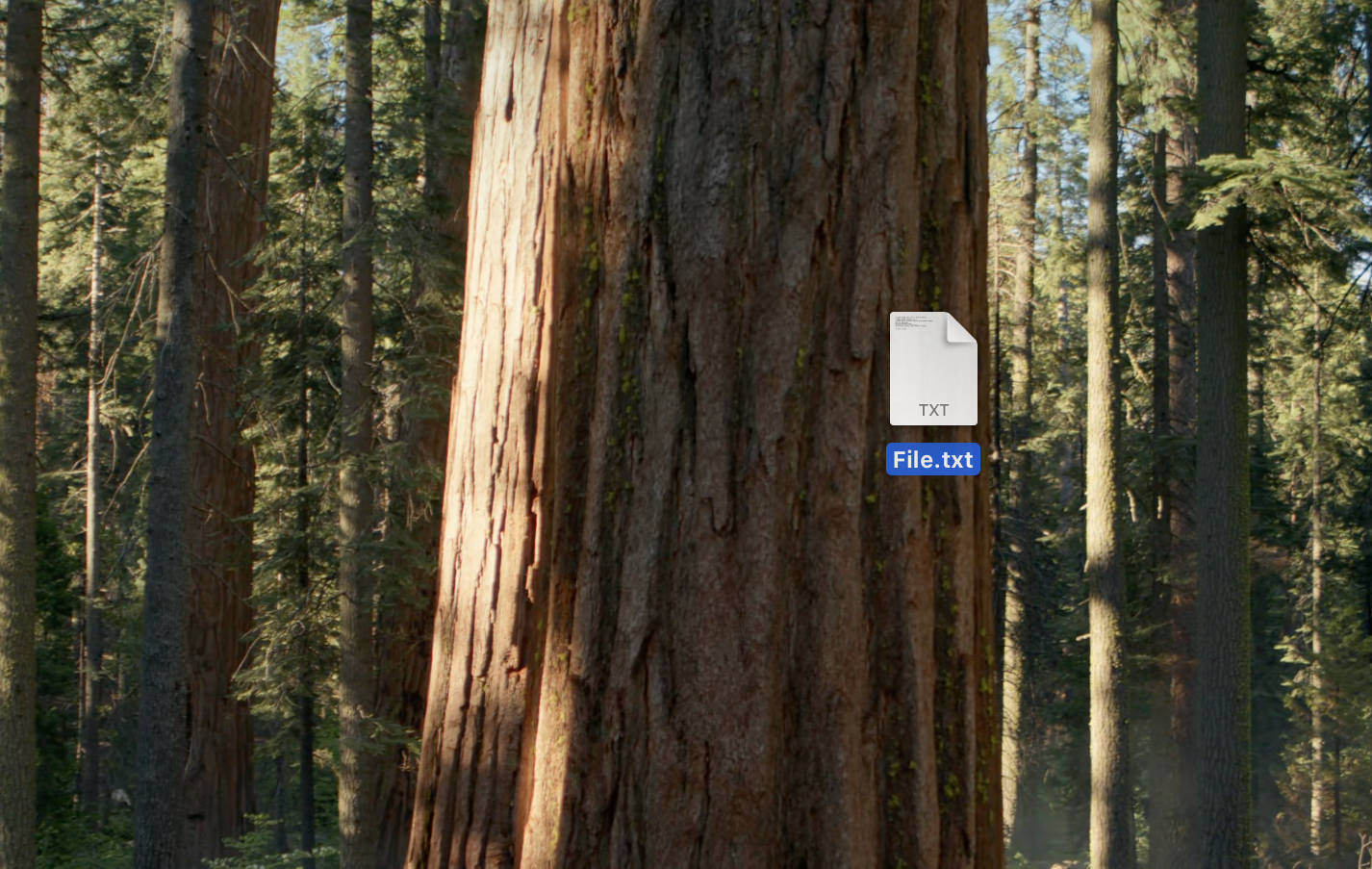 Click and hold the selected file, folder, or item, keep the mouse button or trackpad pressed, then drag it smoothly to the desired destination on your Mac.