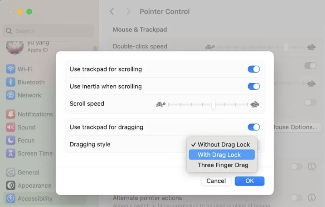 To enable your Trackpad to drag Safari windows into split-screen view, you might first need to enable the feature in your System Settings. Open your Settings, click on Accessibility> Pointer Control > Trackpad Options, and ensure Use trackpad for dragging is Turned On so you can drag two different Safari windows into split-screen view.