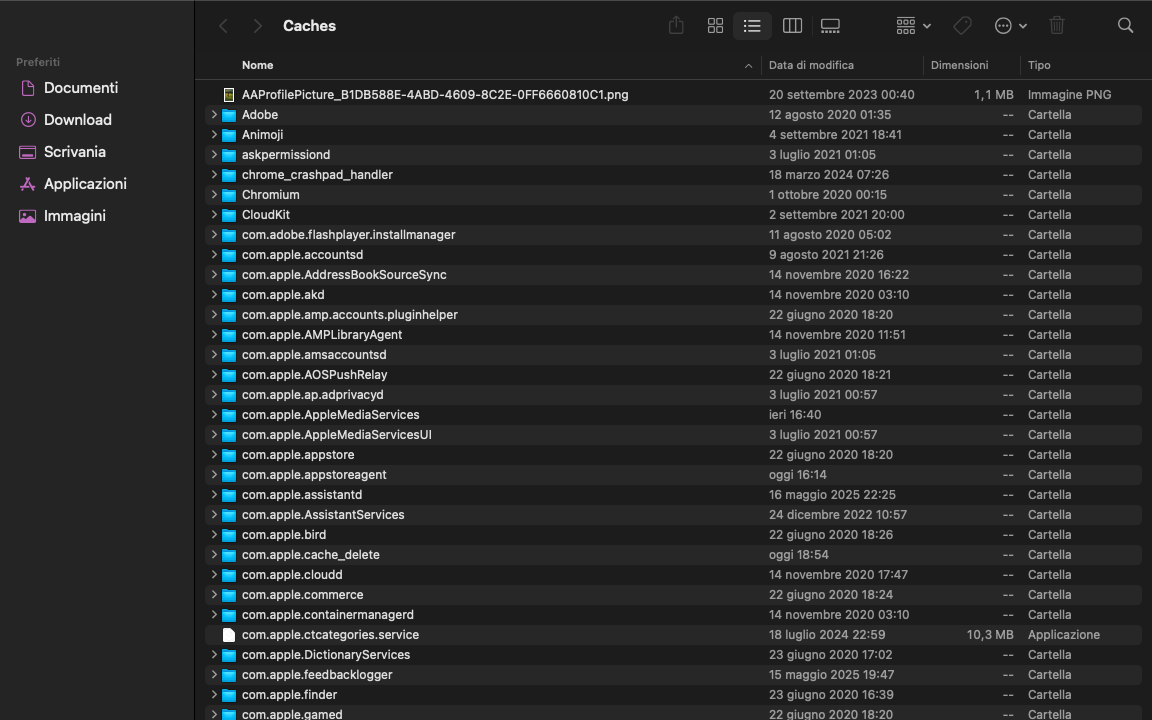 In questa cartella sono presenti i file della cache creati da molte delle applicazioni installate sul Mac. L'eliminazione di questi file cancellerà la cache.