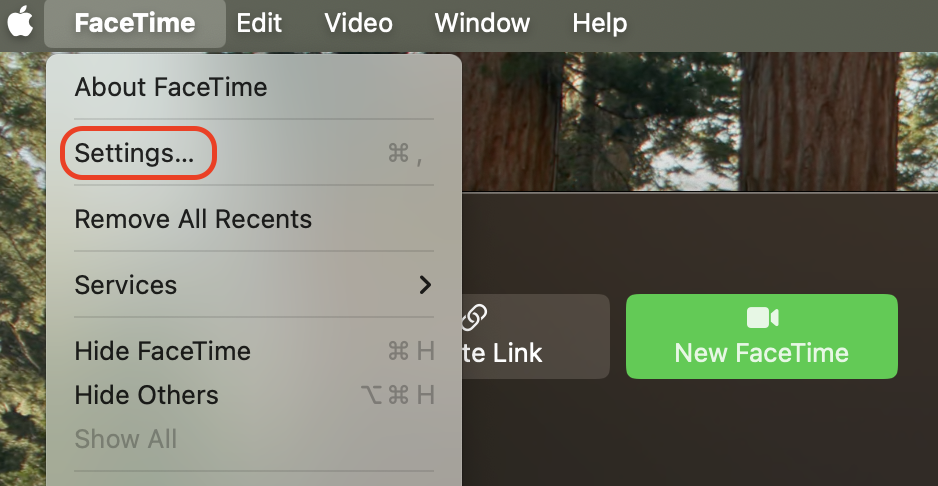Navigate to the menu bar at the top of your screen and select FaceTime then Settings to access the configuration options for your account.