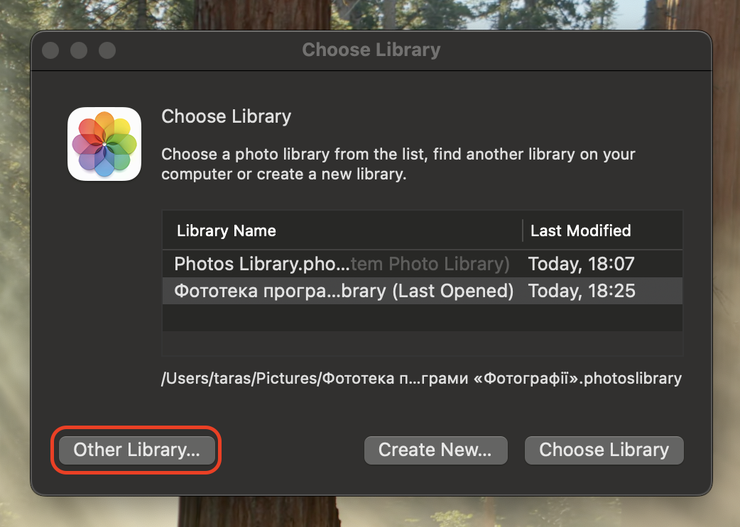 Hold Option, open Photos, choose Other Library, and select the library copy on your external drive to load Photos from the new storage location.