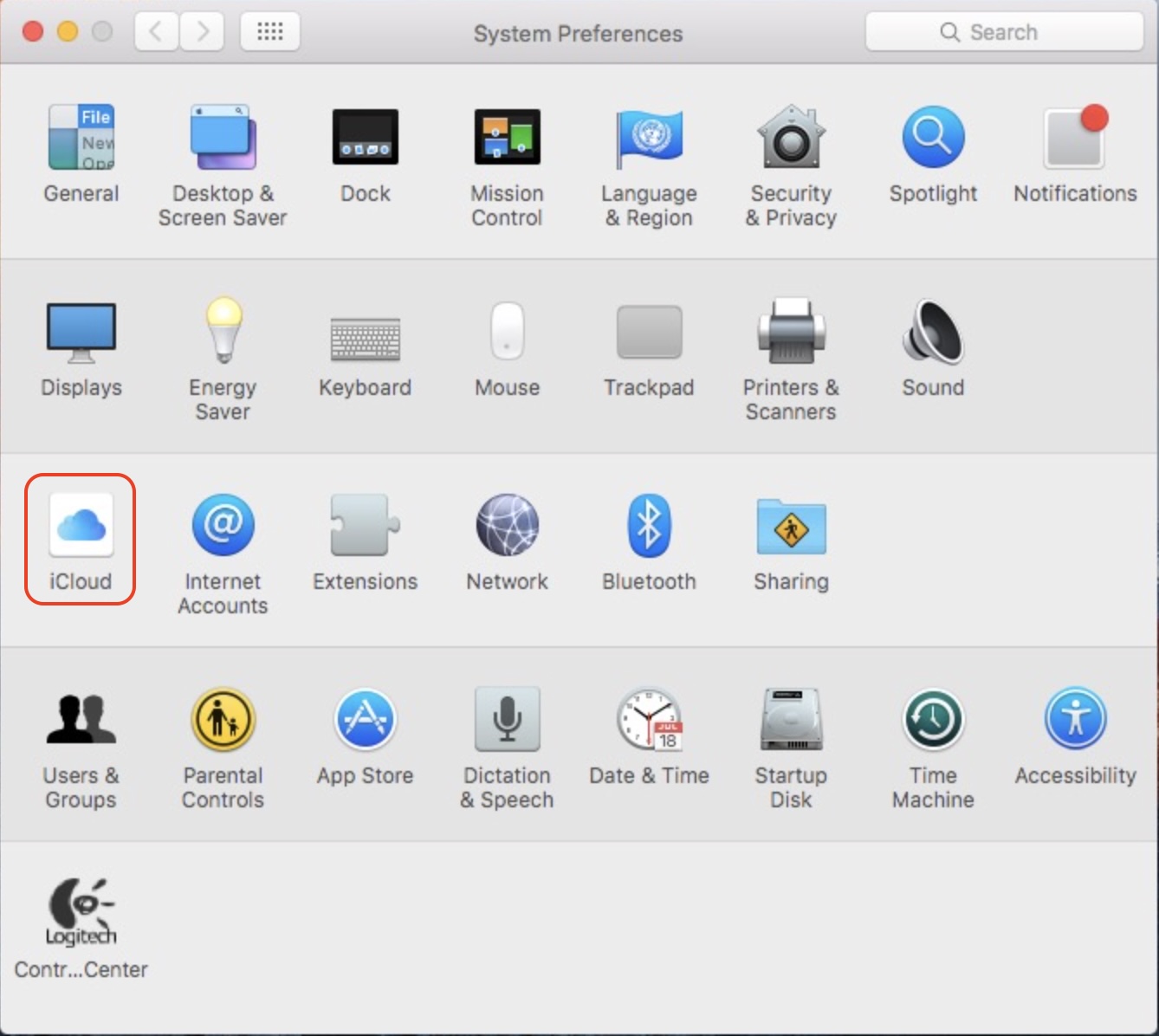The iCloud option inside System Preferences on Mac. Before you perform an OS X El Capitan reset, we recommend signing out of your iCloud and other accounts.